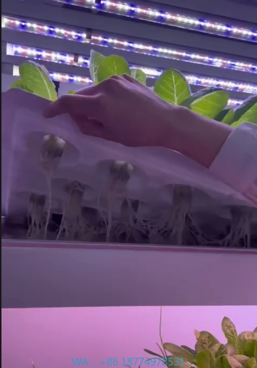 Agriculture Farming System - f Attrezzature agricole per serra Coltiva