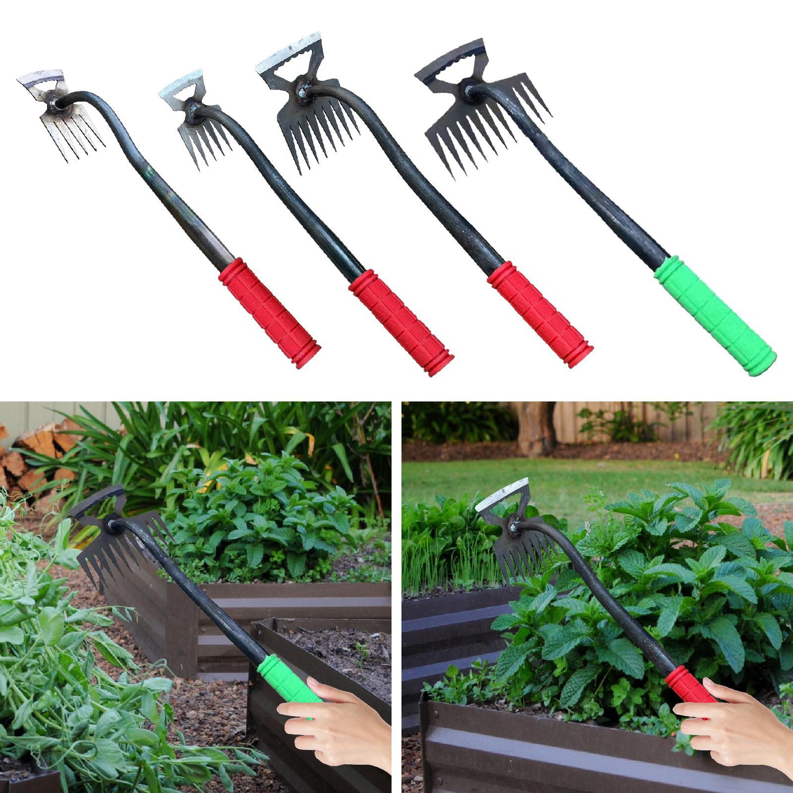 Estirpatore di Erbacce Robusto - Agriculture Farming Practices recensione e prezzo