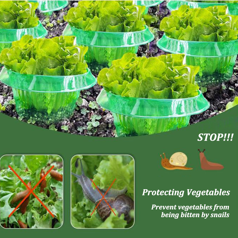 5-25 pezzi piante limace anell - Vegetable Transplanter recensione e prezzo