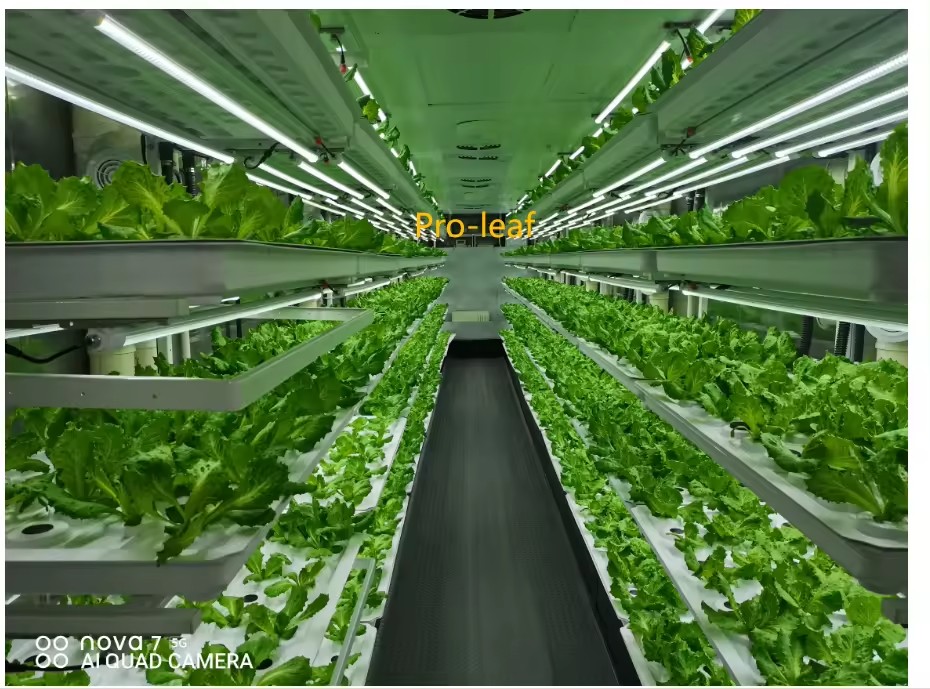 f Attrezzature agricole per se - Agriculture Farming System recensione e prezzo