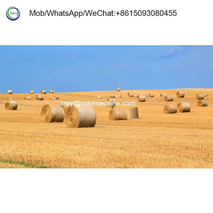 Imballatrice Automatica per In - Silage Baler Machine recensione e prezzo