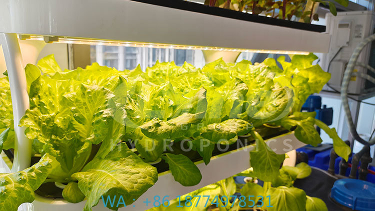 c Macchina agricola per coltiv - Agriculture Farming System recensione e prezzo