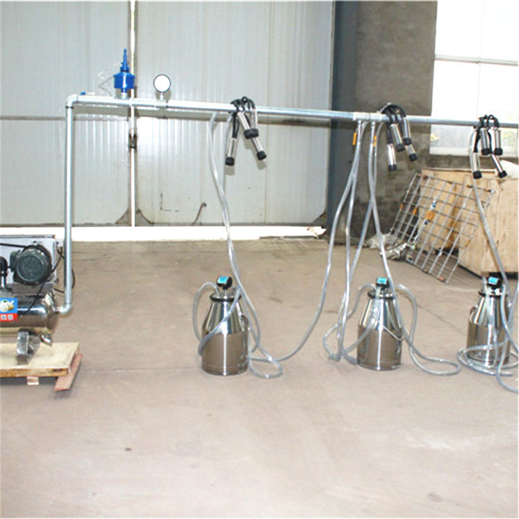 Mungitrice, Sistema Fisso con  - Farming System & Sustainable Agriculture recensione e prezzo
