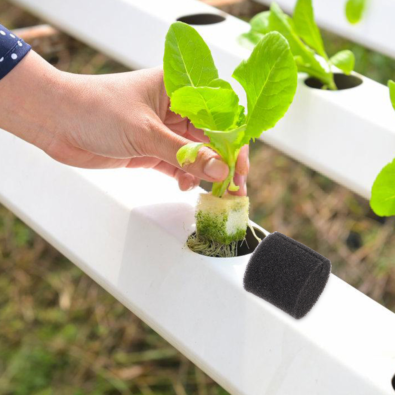 100 Pezzi di Spugna Idroponica - Vegetable Transplanter recensione e prezzo