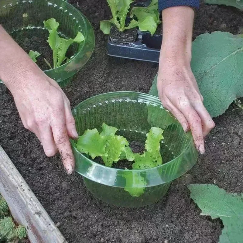 Anelli di protezione per lumac - Vegetable Transplanter recensione e prezzo