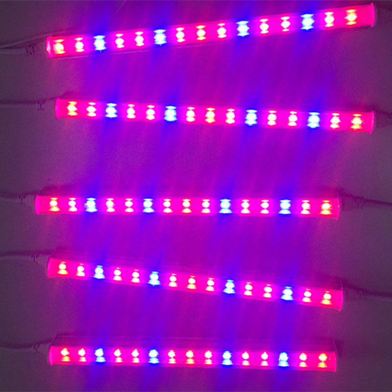 1/5pcs Led pianta coltiva la l - Vegetable Transplanter recensione e prezzo