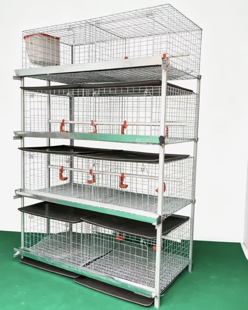 Nuovo Sistema di Gabbie per Po - Farming System & Sustainable Agriculture recensione e prezzo